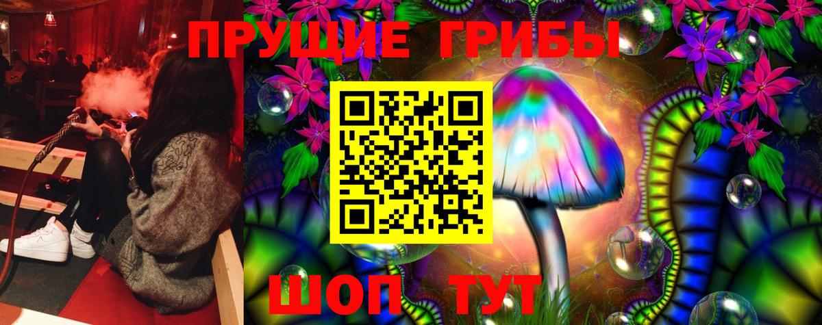 Миасс  Галлюциногенные грибы Psilocybe  Вход с VPN  Галлюциногенные грибы Cubensis 