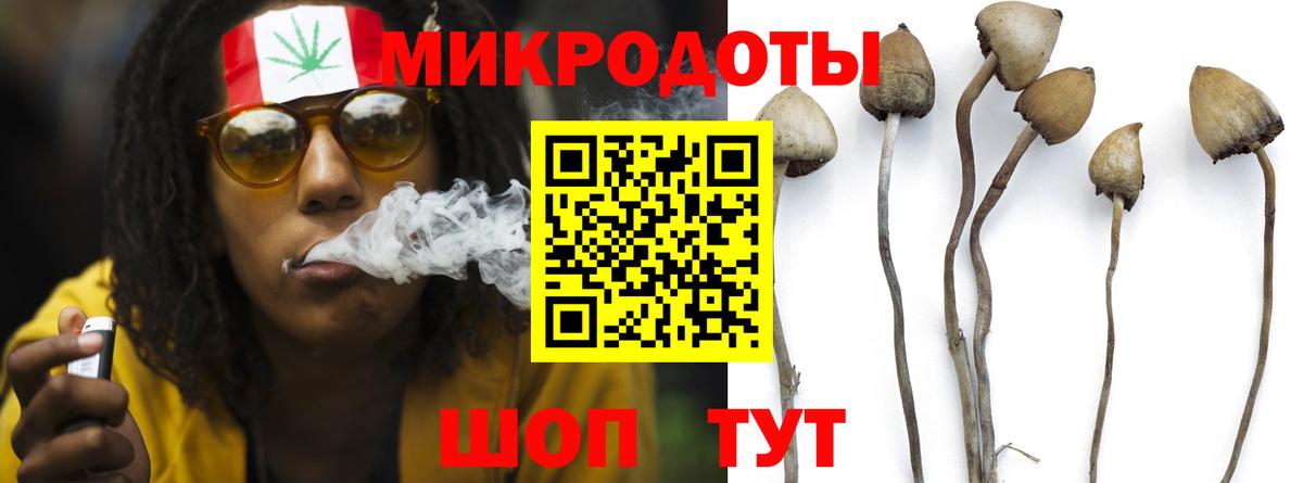 Псилоцибиновые грибы мухоморы Миасс
